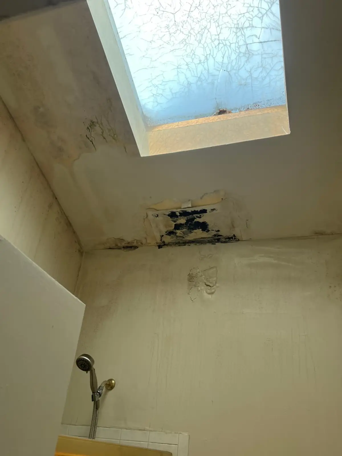 Selling a house with mold in Coram: moldy ceiling around a cracked bathroom skylight
